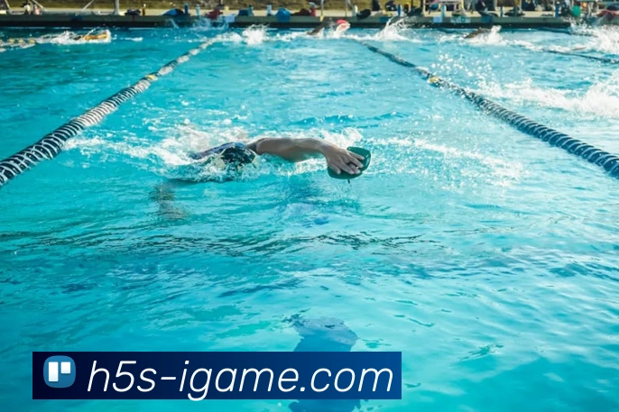 多媒体互动体验